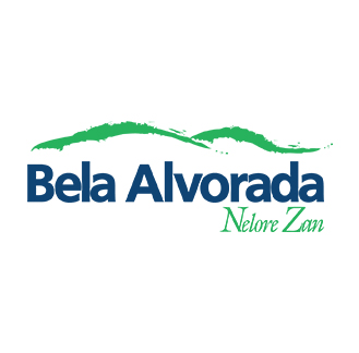 Bela Alvorada - Nelore Zan